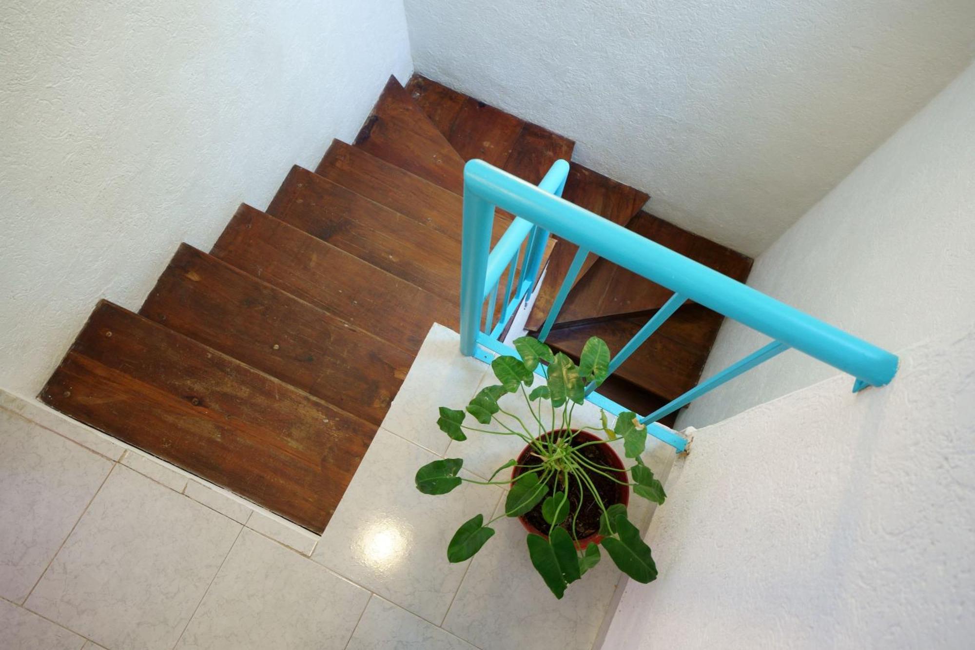Casa De Colores Playa del Carmen Zewnętrze zdjęcie