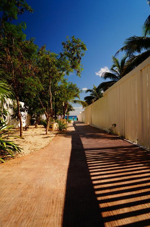 Casa De Colores Playa del Carmen Zewnętrze zdjęcie